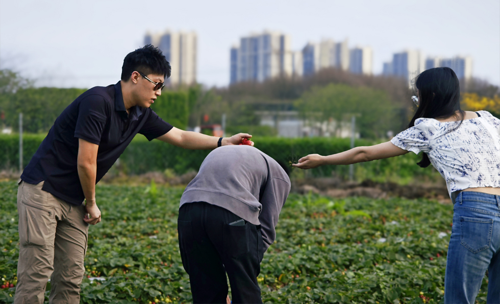 PGӡйٷվ-PGƽ̨Żվ