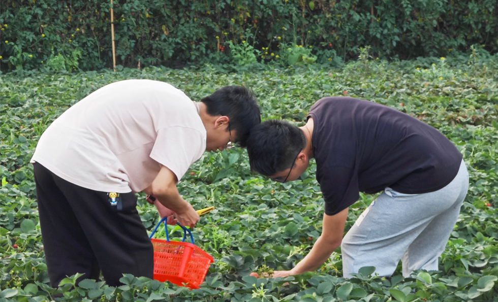PG电子「中国」官方网站-PG平台门户网站